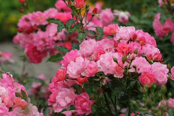 À quoi faut-il veiller lors de l'achat d'un ventilateur silencieux ?