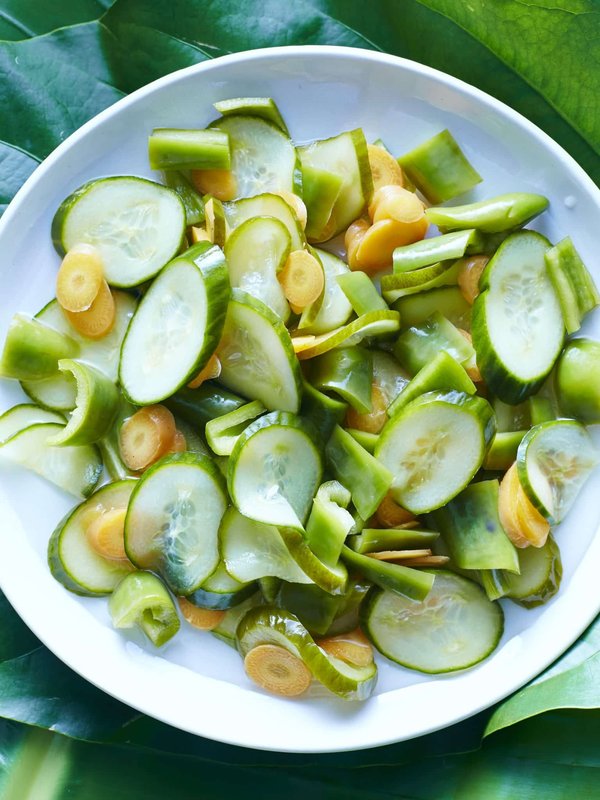 Votre guide ultime : la boutique pour acheter du lierre